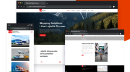 levadijital-sslogistic_nobg