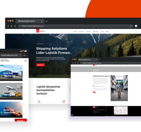 levadijital-sslogistic_nobg