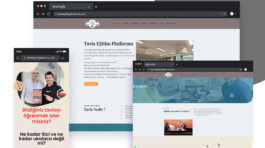 levadijital-tavlaegitim_nobg