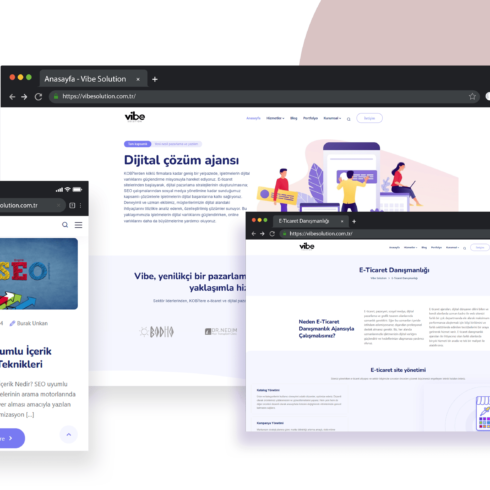 levadijital-vibesolution_nobg